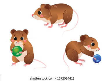 Cute cartoon vole vector set. Vole in different postures. Vole holding blueberry and green pea. Forest animals for kids. Isolated on white background