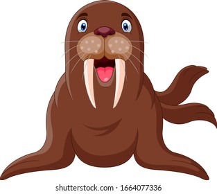 Cute cartoon walrus happy a smile