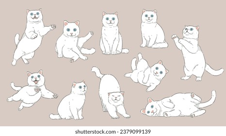 Cute Cartoon white Cat set	