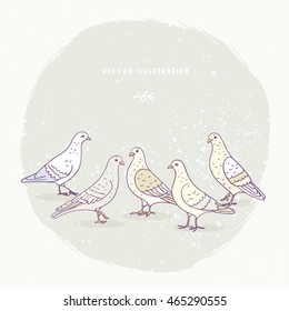 Cute cartoon white and grey pigeons. Vector illustration