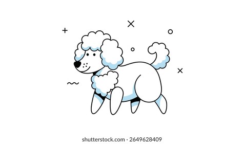 Cute cartoon white poodle dog walking happily with a fluffy curly coat and playful expression