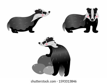 Cute cartoon wild badger or brocks vector set. Badgers in different postures. Forest animals for kids. Isolated on white background.
