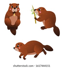 Cute cartoon wild beaver vector set. Beaver in different postures. Forest animals for kids. Isolated on white background.