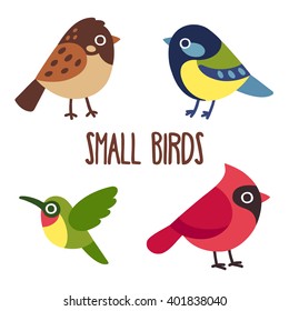 Cute cartoon wild birds set.  Sparrow and blue tit, hummingbird and red cardinal. Vector bird icons.