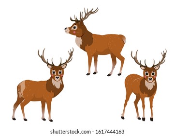 Cute cartoon wild deer vector set. Deers in different postures. Forest animals for kids. Isolated on white background.