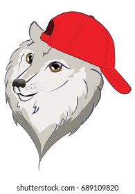 Cute cartoon wolf in a baseball cap illustration on white background.