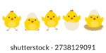 Cute cartoon yellow chicks set hatching from eggs in flat vector style
