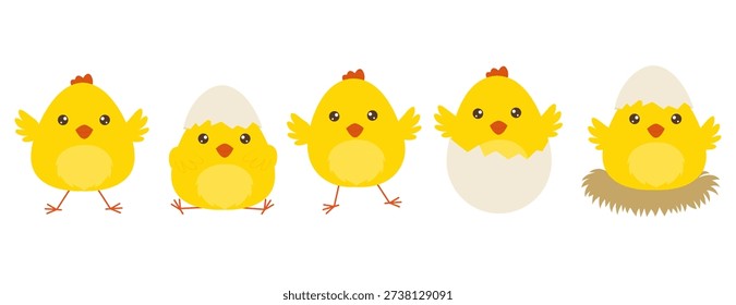 Cute cartoon yellow chicks set hatching from eggs in flat vector style