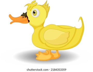 Cute Cartoon Yellow Duck Walking On White Background