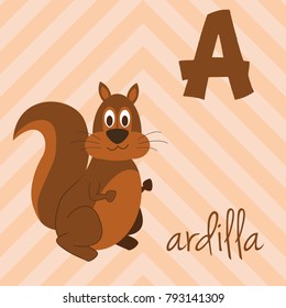 Cute cartoon zoo illustrated alphabet with funny animals. Spanish alphabet: A for Ardilla. Learn to read. Isolated Vector illustration.