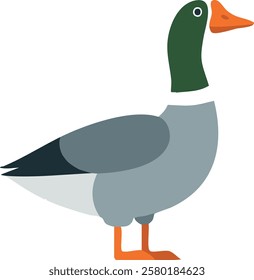 A cute cartoon-style goose with simplified shapes and bold colors. This fun and friendly design is great for educational materials, children's books, or farm-themed content