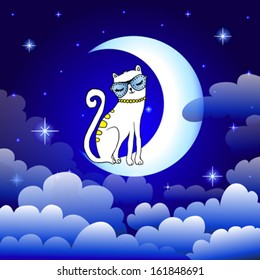 cute cat