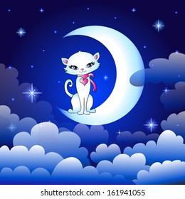 cute cat
