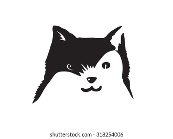 Cute Cat