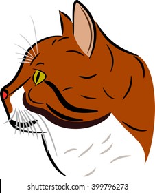Cute Cat