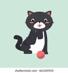 cute cat