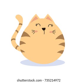 cute cat