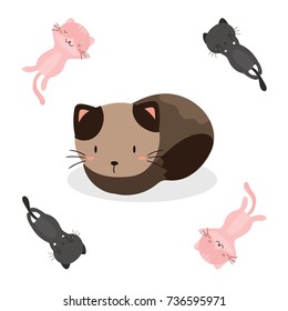 cute cat