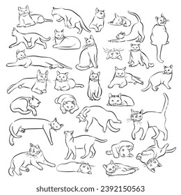Cute cat activities and postures, a set of vector hand drawn outlineillustrations