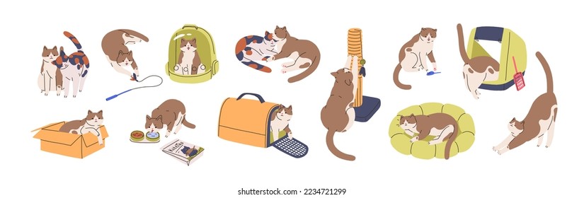 Cute cat activities set. Funny kitty, feline supplies. Home kitten pet life, actions, scenes with box, toys, feed, carrier, litter, bed. Flat graphic vector illustrations isolated on white background