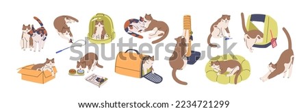 Cute cat activities set. Funny kitty, feline supplies. Home kitten pet life, actions, scenes with box, toys, feed, carrier, litter, bed. Flat graphic vector illustrations isolated on white background