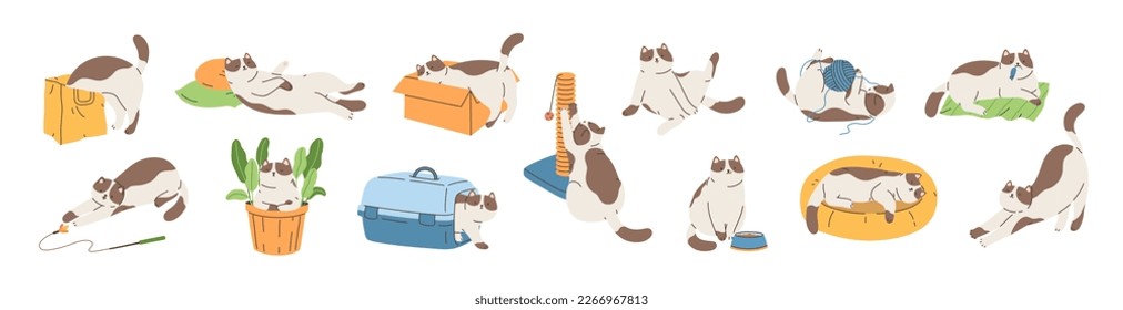 Cute cat activities set. Pet kitten home life: actions, scenes with scratching post, toys, carrier, bed, box, bag, feed. Colored flat graphic illustration isolated on white background.