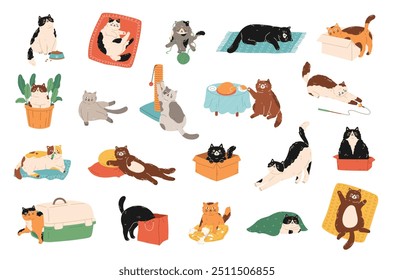 Cute cat activities set. Pet kitten home life: actions, scenes with scratching post, toys, carrier, bed, box, pillow, bag, feed, plant. Colored flat graphic illustration isolated on white background.