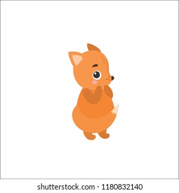 cute cat animal