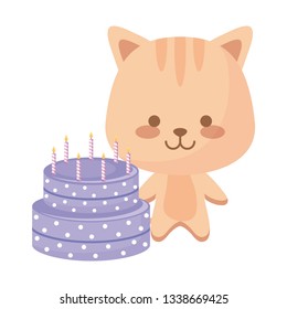 cute cat animal with cake birthday