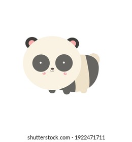 cute cat animal character design vector template illustration
