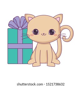 cute cat animal with gift box vector illustration design