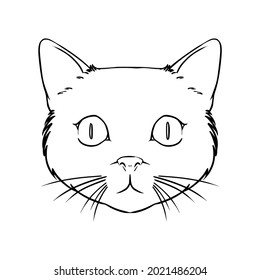 Cute Cat Animal Icon Vector Illustration Design Handdraw