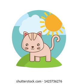 cute cat animal in landscape natural