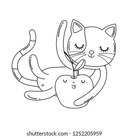 cute cat with apple fresh