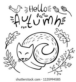 Cute cat asleep and autumn leaves on while background. Hello Autumn. Vector illustration. Perfect for postcard, greeting card, print.