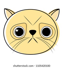 Cute cat avatar sketch