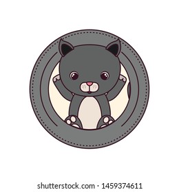 cute cat for baby card on white background