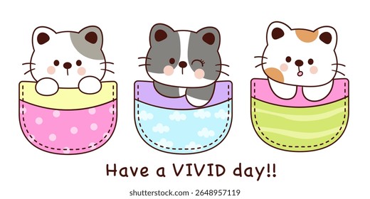 Cute Cat Baby Cartoon in Pocket Chubby clipart. Kawaii kitten playing cub Animals Pet vector (Whimsical Character). Perfect for Kid t shirt design Birthday card and Logo cafe.