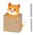 Cute cat in the bag