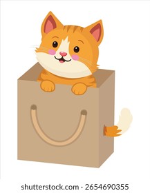 Cute cat in the bag