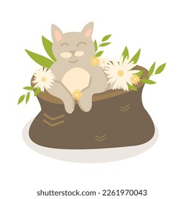 Cute cat in a basket with flowers, Spring illustration, greeting card design element, isolated on white background