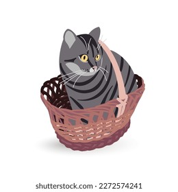 Cute cat in a basket. Vector.