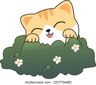 cute cat behind the bush
