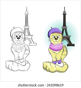 Cute cat in a beret in Paris