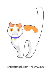 Cute cat with big eyes in blue collar on neck, fluffy feline animal with bend back vector isolated on white background, pussy kitten in flat style