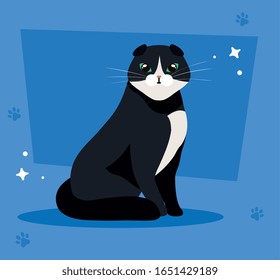 gato bonito negro y blanco en azul de fondo con dibujos vectoriales diseño