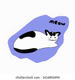 cute cat with black and white fur color