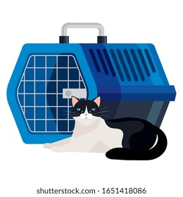 cute cat black and white with pet carry box vector illustration design