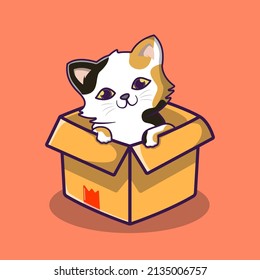 lindo gato en el vector de diseño de dibujos animados de caja
