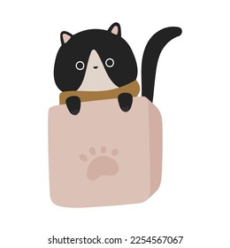 cute cat in box icon white background